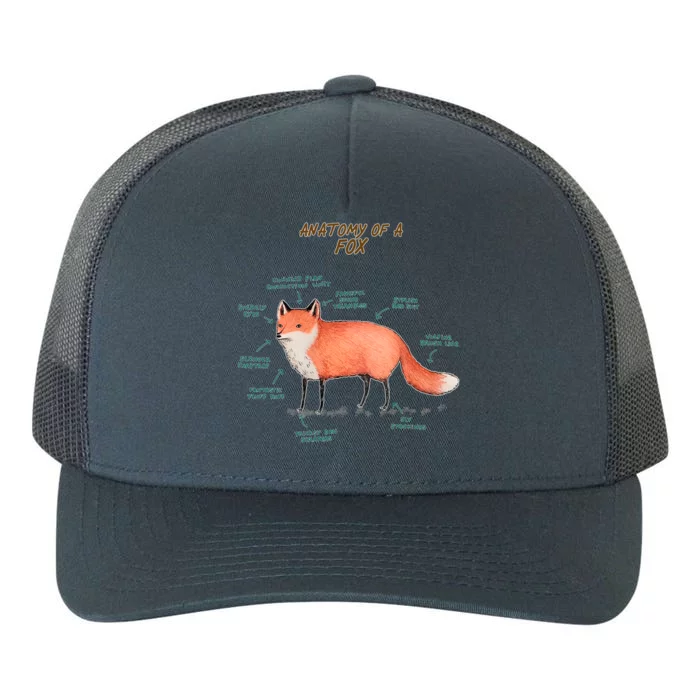 Anatomy Of A Fox Funny Cute Yupoong Adult 5-Panel Trucker Hat