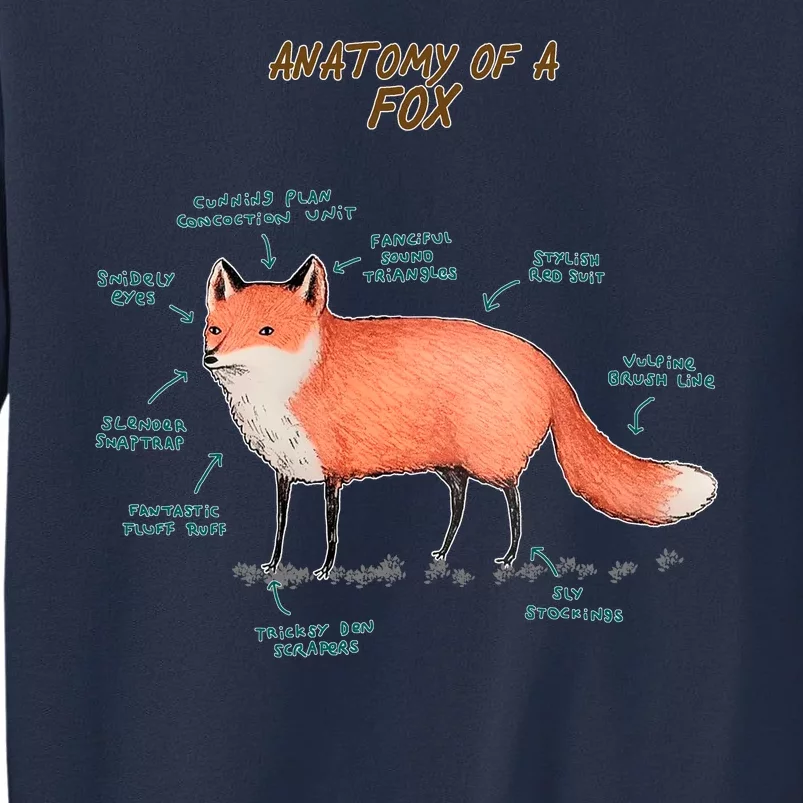 Anatomy Of A Fox Funny Cute Sweatshirt