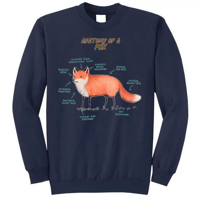 Anatomy Of A Fox Funny Cute Sweatshirt