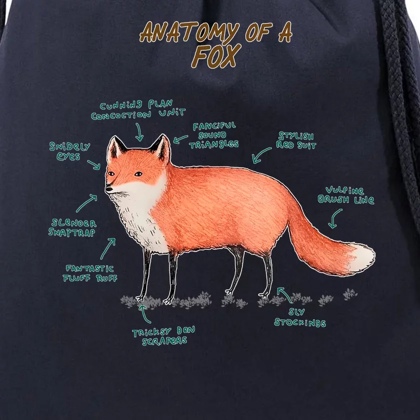 Anatomy Of A Fox Funny Cute Drawstring Bag