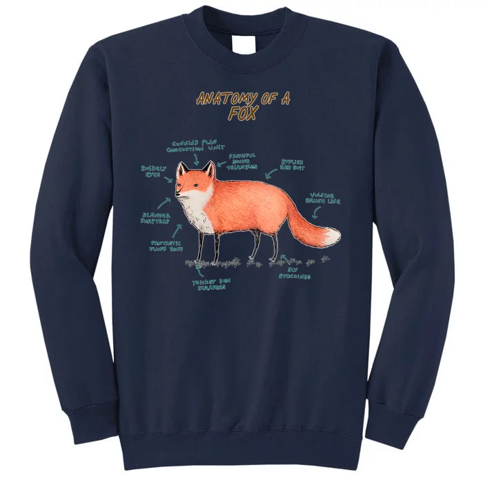 Anatomy Of A Fox Funny Cute Tall Sweatshirt