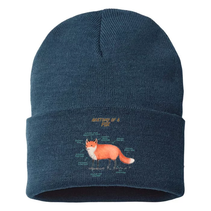 Anatomy Of A Fox Funny Cute Sustainable Knit Beanie