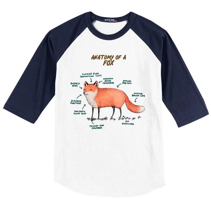 Anatomy Of A Fox Funny Cute Baseball Sleeve Shirt