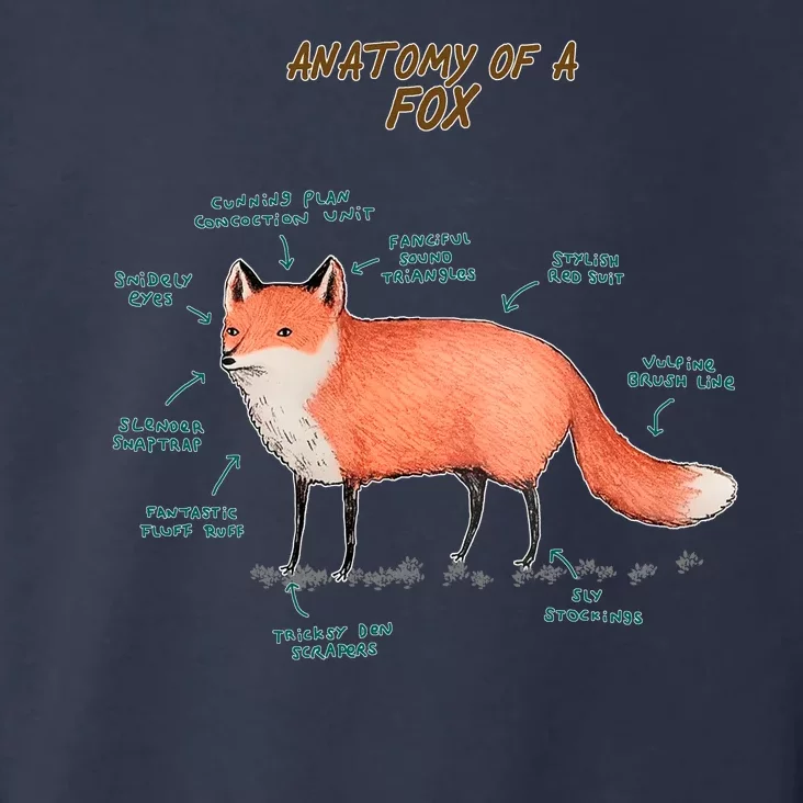 Anatomy Of A Fox Funny Cute Toddler Hoodie TeeShirtPalace