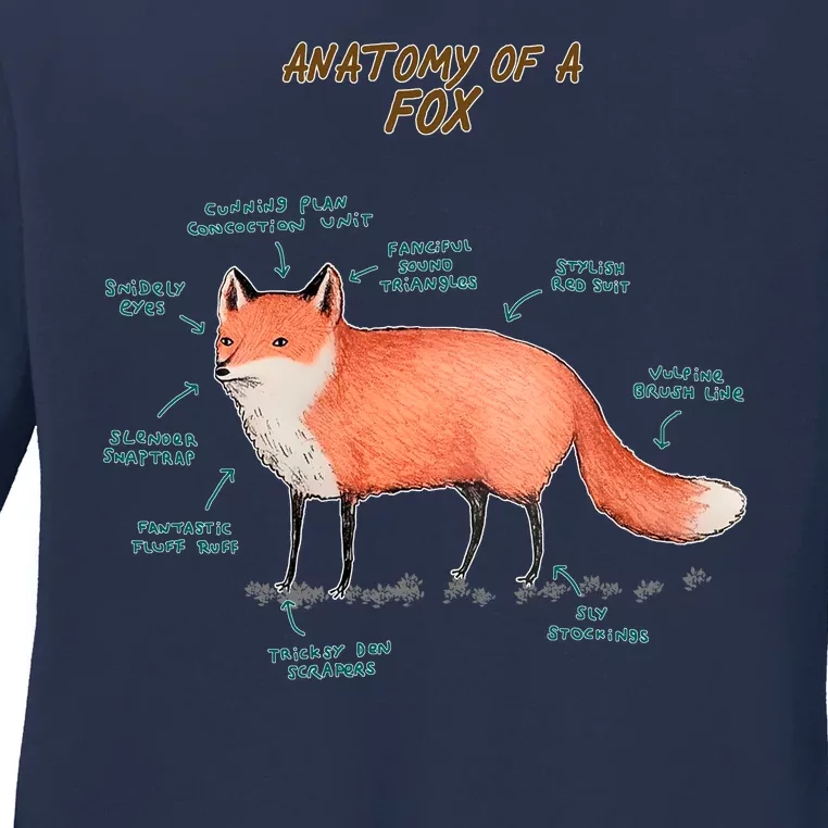 Anatomy Of A Fox Funny Cute Ladies Long Sleeve Shirt