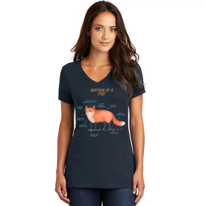 Anatomy Of A Fox Funny Cute Women's V-Neck T-Shirt