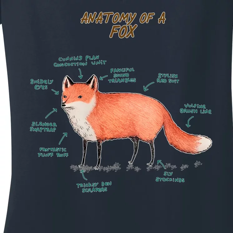 Anatomy Of A Fox Funny Cute Women's V-Neck T-Shirt