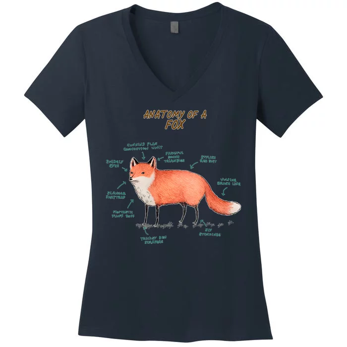 Anatomy Of A Fox Funny Cute Women's V-Neck T-Shirt