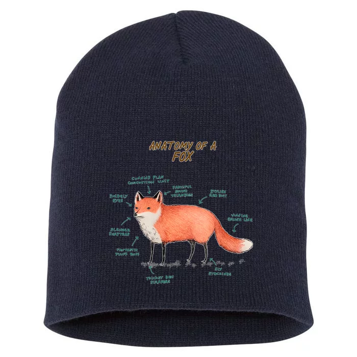 Anatomy Of A Fox Funny Cute Short Acrylic Beanie