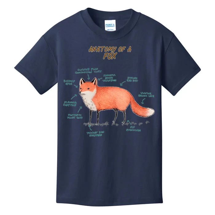 Anatomy Of A Fox Funny Cute Kids T-Shirt