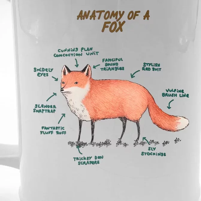 Anatomy Of A Fox Funny Cute Front & Back Beer Stein