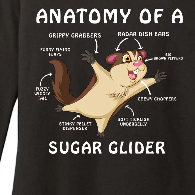 Anatomy Of A Sugar Glider Womens CVC Long Sleeve Shirt