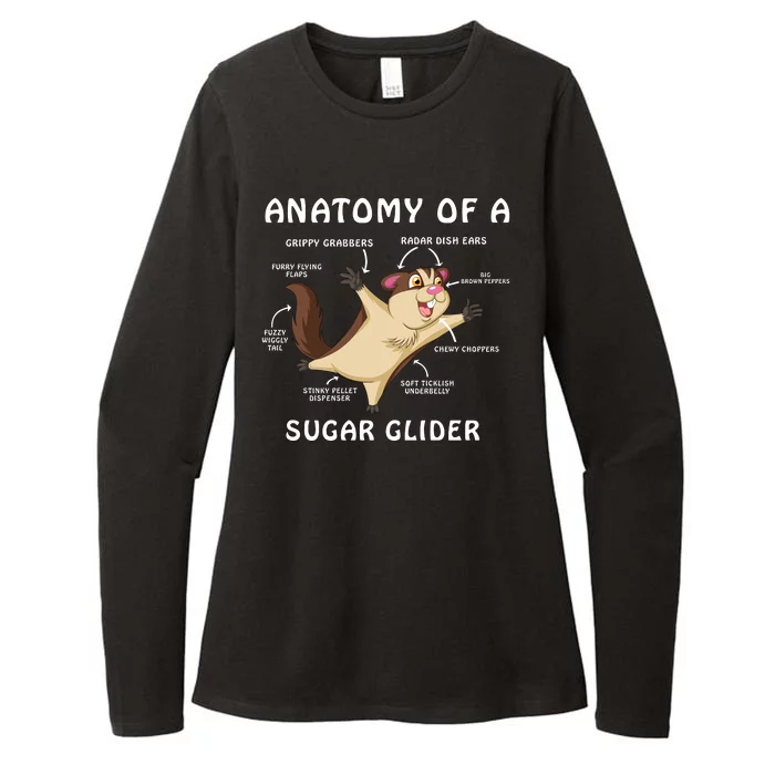 Anatomy Of A Sugar Glider Womens CVC Long Sleeve Shirt