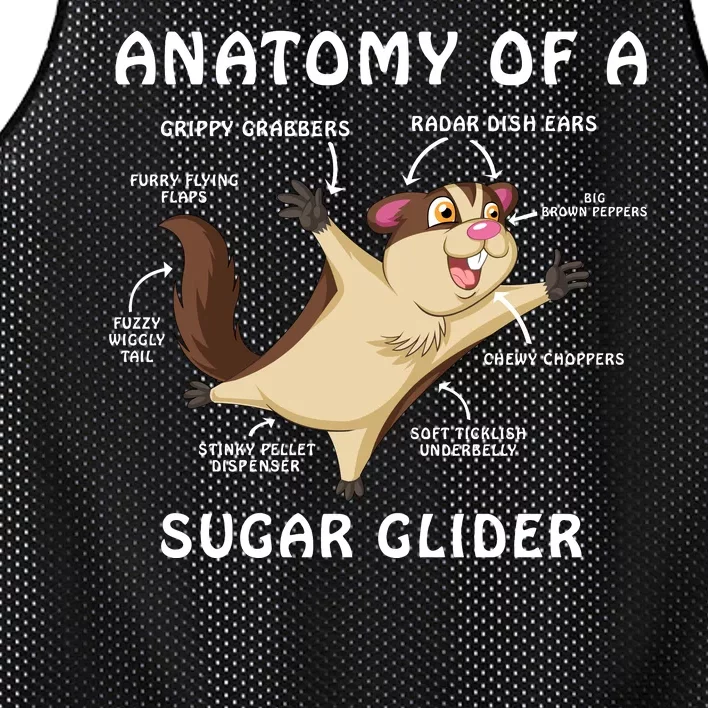 Anatomy Of A Sugar Glider Mesh Reversible Basketball Jersey Tank