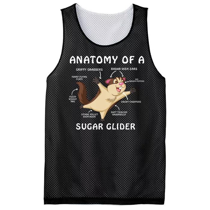 Anatomy Of A Sugar Glider Mesh Reversible Basketball Jersey Tank