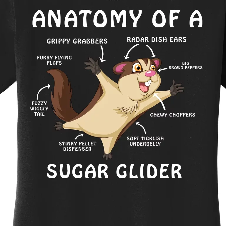 Anatomy Of A Sugar Glider Women's T-Shirt