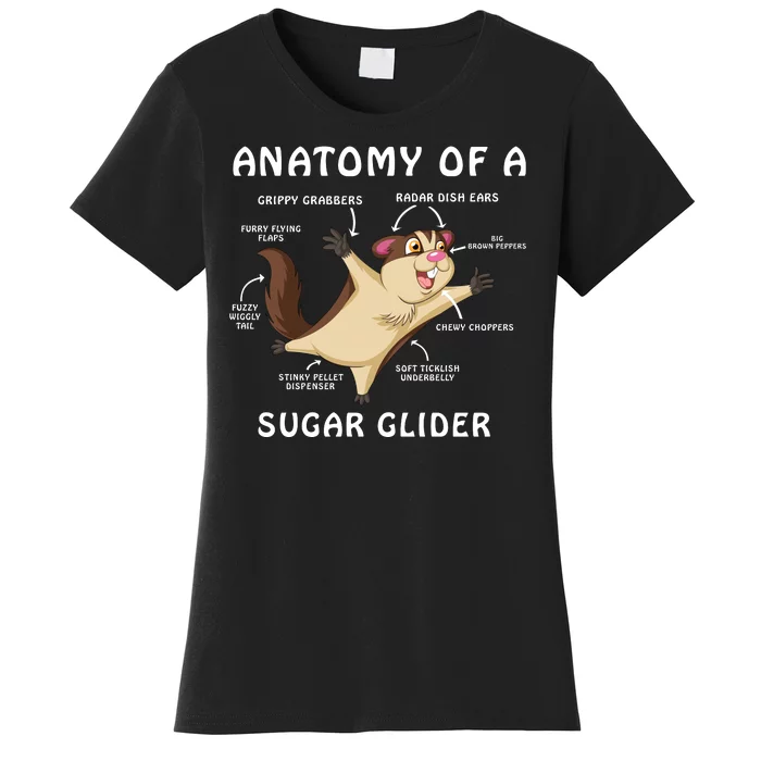 Anatomy Of A Sugar Glider Women's T-Shirt