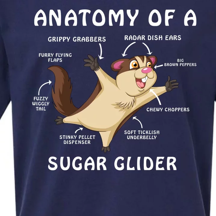 Anatomy Of A Sugar Glider Sueded Cloud Jersey T-Shirt