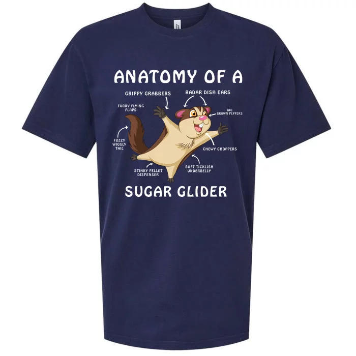 Anatomy Of A Sugar Glider Sueded Cloud Jersey T-Shirt