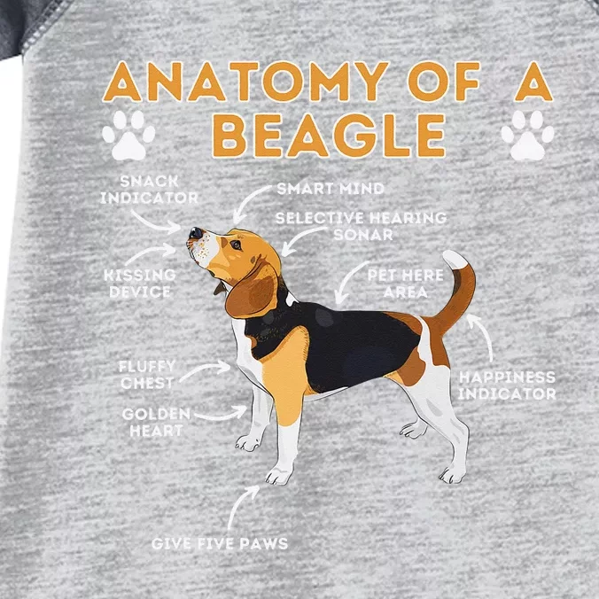 Anatomy Of A Beagle Funny Beagle Dog Lover Infant Baby Jersey Bodysuit