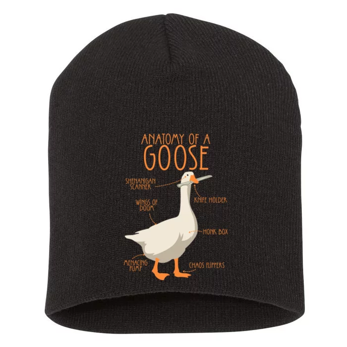 Anatomy Of A Goose Water Bird Duckling Short Acrylic Beanie