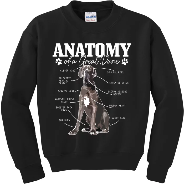 Anatomy Of A Great Dane Funny Cute Dog Mom Dad Kids Sweatshirt