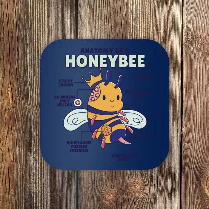 Anatomy Of A Honeybee Bumblebee Coaster