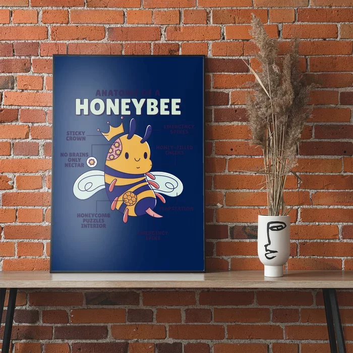 Anatomy Of A Honeybee Bumblebee Poster