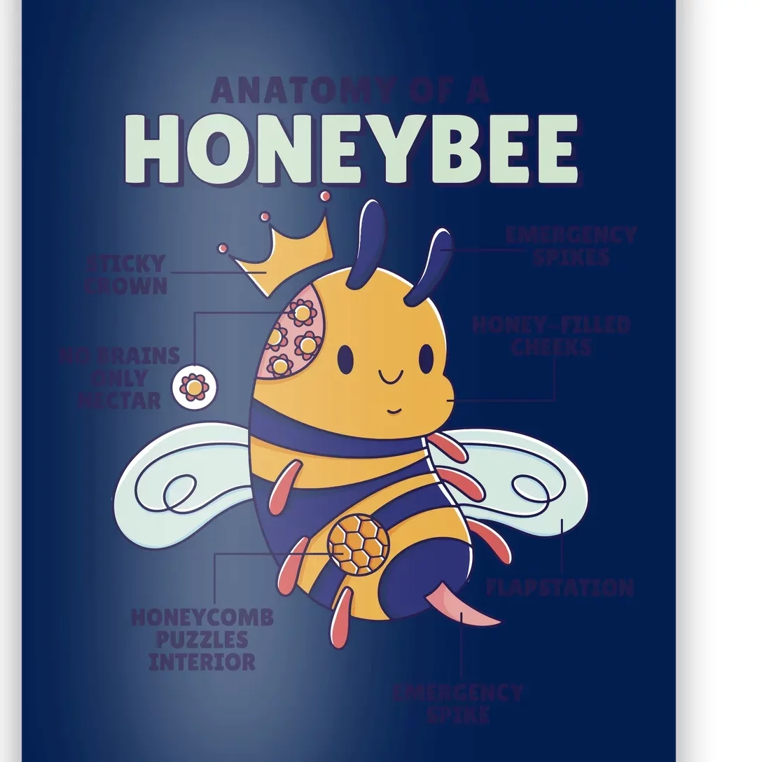 Anatomy Of A Honeybee Bumblebee Poster