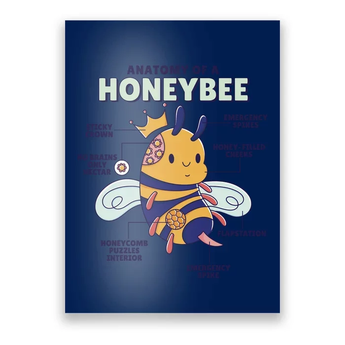 Anatomy Of A Honeybee Bumblebee Poster