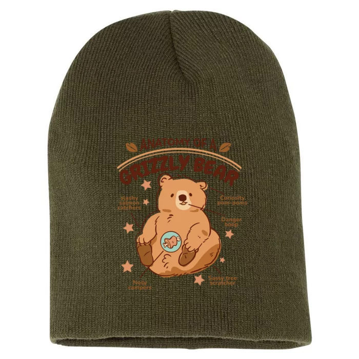 Anatomy Of A Grizzly Bear Short Acrylic Beanie