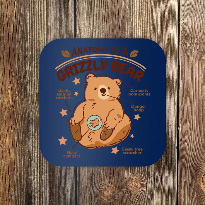 Anatomy Of A Grizzly Bear Coaster