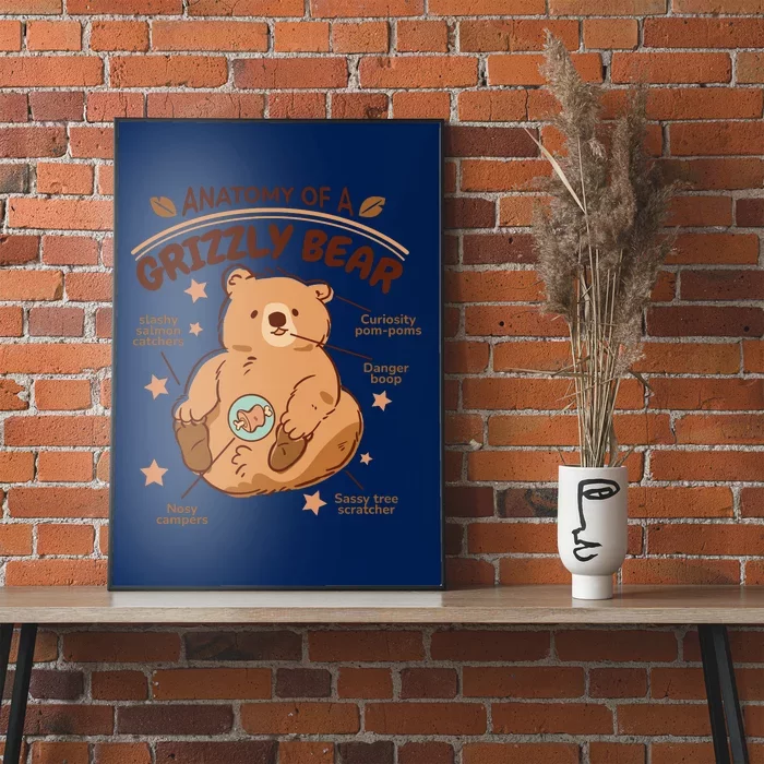 Anatomy Of A Grizzly Bear Poster