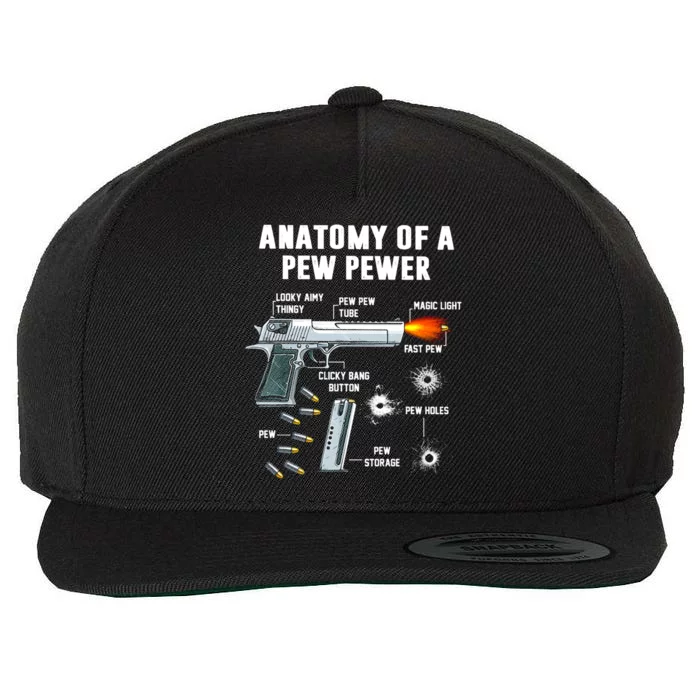 Anatomy Of A Pew Pewer Gift Wool Snapback Cap