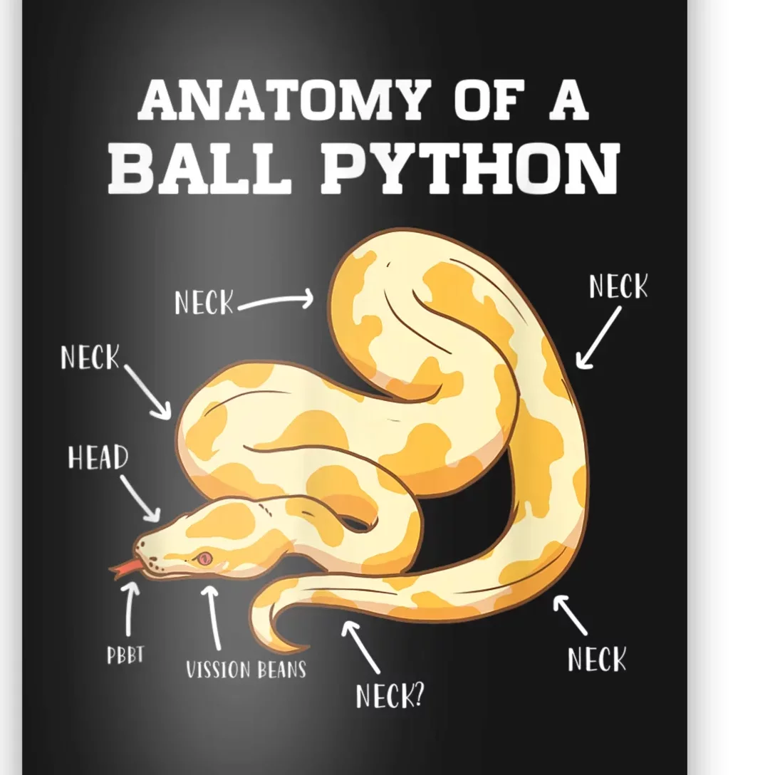 Anatomy Of A Ball Python Reptile Snake Owner Poster | TeeShirtPalace