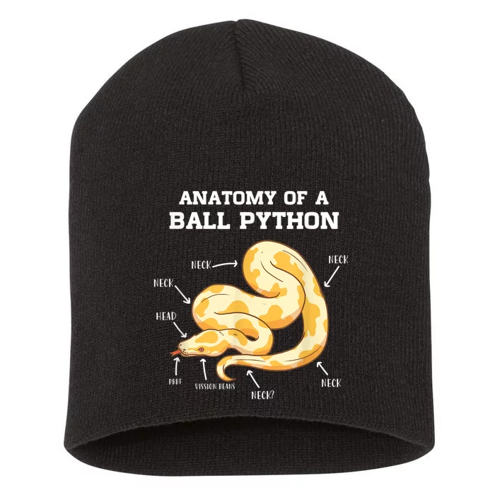 Anatomy Of A Ball Python Reptile Snake Owner Short Acrylic Beanie