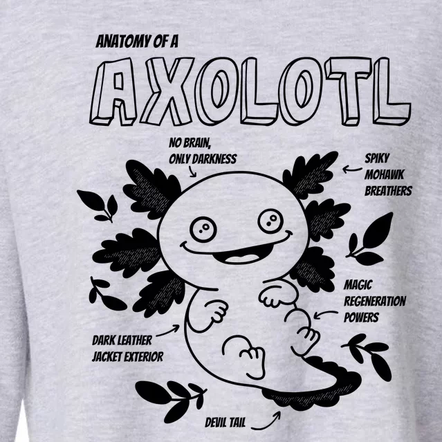 Anatomy Of A Axolotl Cropped Pullover Crew