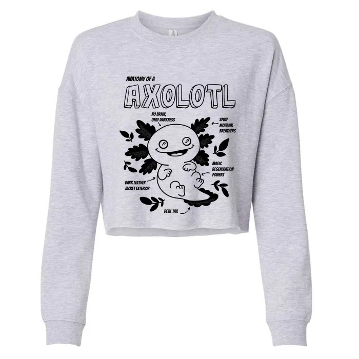 Anatomy Of A Axolotl Cropped Pullover Crew