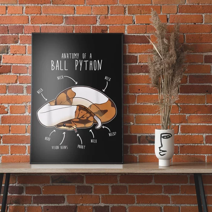 Anatomy Of A Piebald Ball Python Funny Reptile Snake Lover Poster