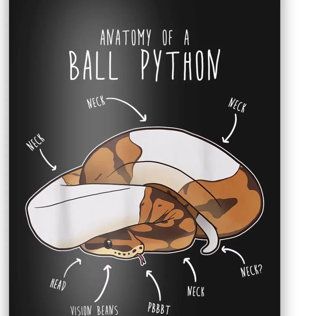 Anatomy Of A Piebald Ball Python Funny Reptile Snake Lover Poster