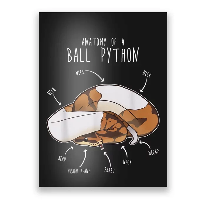 Anatomy Of A Piebald Ball Python Funny Reptile Snake Lover Poster