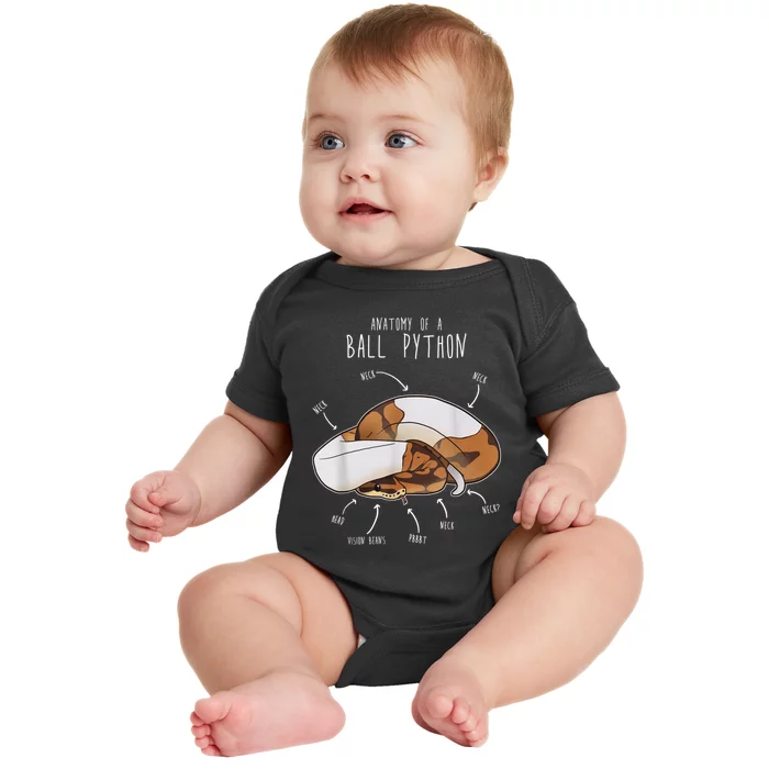 Anatomy Of A Piebald Ball Python Funny Reptile Snake Lover Baby Bodysuit