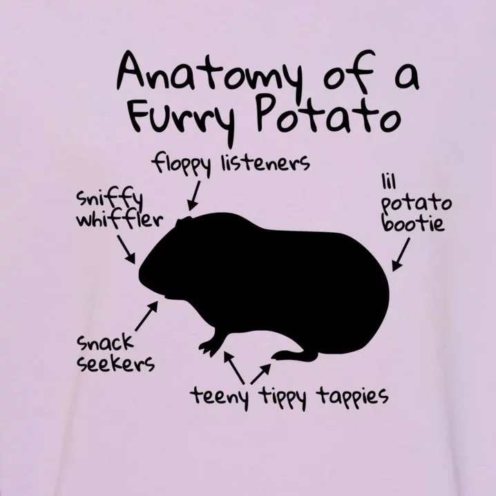 Anatomy Of A Furry Potato Funny Guinea Pig Gift Meaningful Gift Garment-Dyed Sweatshirt