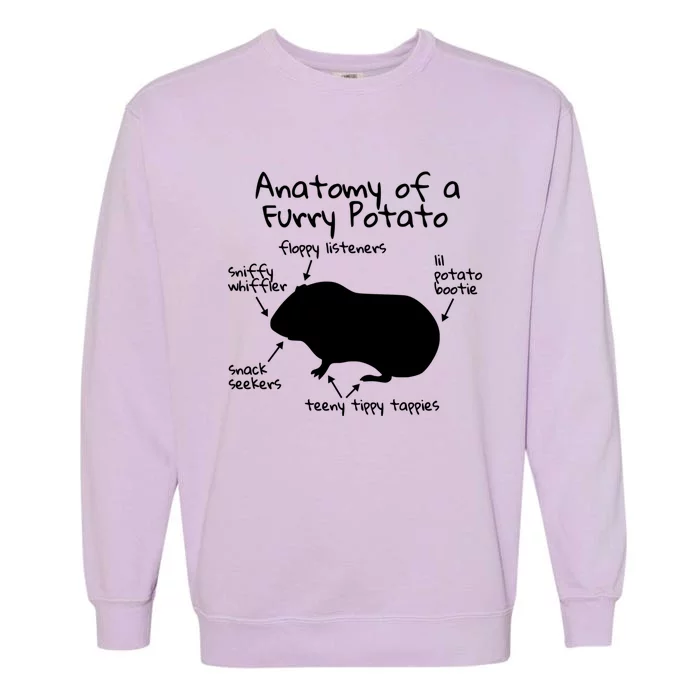 Anatomy Of A Furry Potato Funny Guinea Pig Gift Meaningful Gift Garment-Dyed Sweatshirt