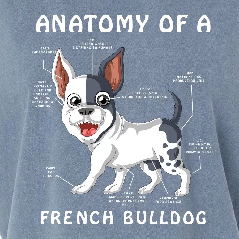 Anatomy Of A French Bulldog Garment-Dyed Women's Muscle Tee