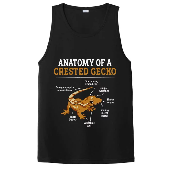 Anatomy of A Leopard Gecko Lizard Lover Performance Tank