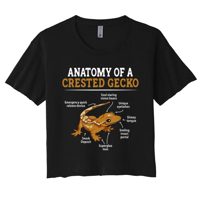 Anatomy of A Leopard Gecko Lizard Lover Women's Crop Top Tee