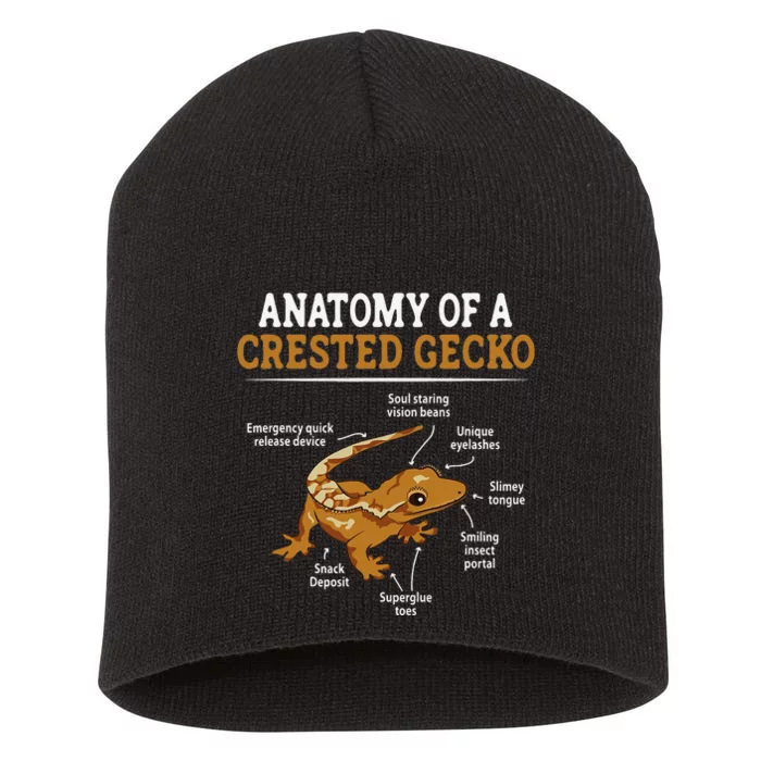 Anatomy of A Leopard Gecko Lizard Lover Short Acrylic Beanie