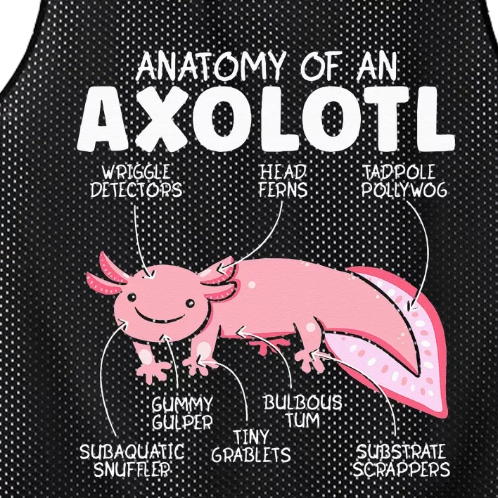 Anatomy Of An Askolotl Owner Mexican Walking Fish Lover Mesh Reversible Basketball Jersey Tank