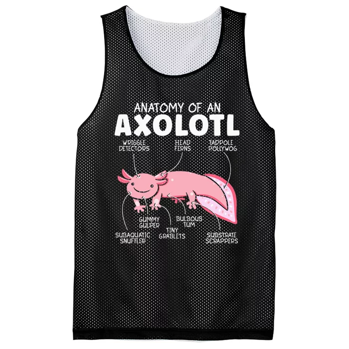 Anatomy Of An Askolotl Owner Mexican Walking Fish Lover Mesh Reversible Basketball Jersey Tank